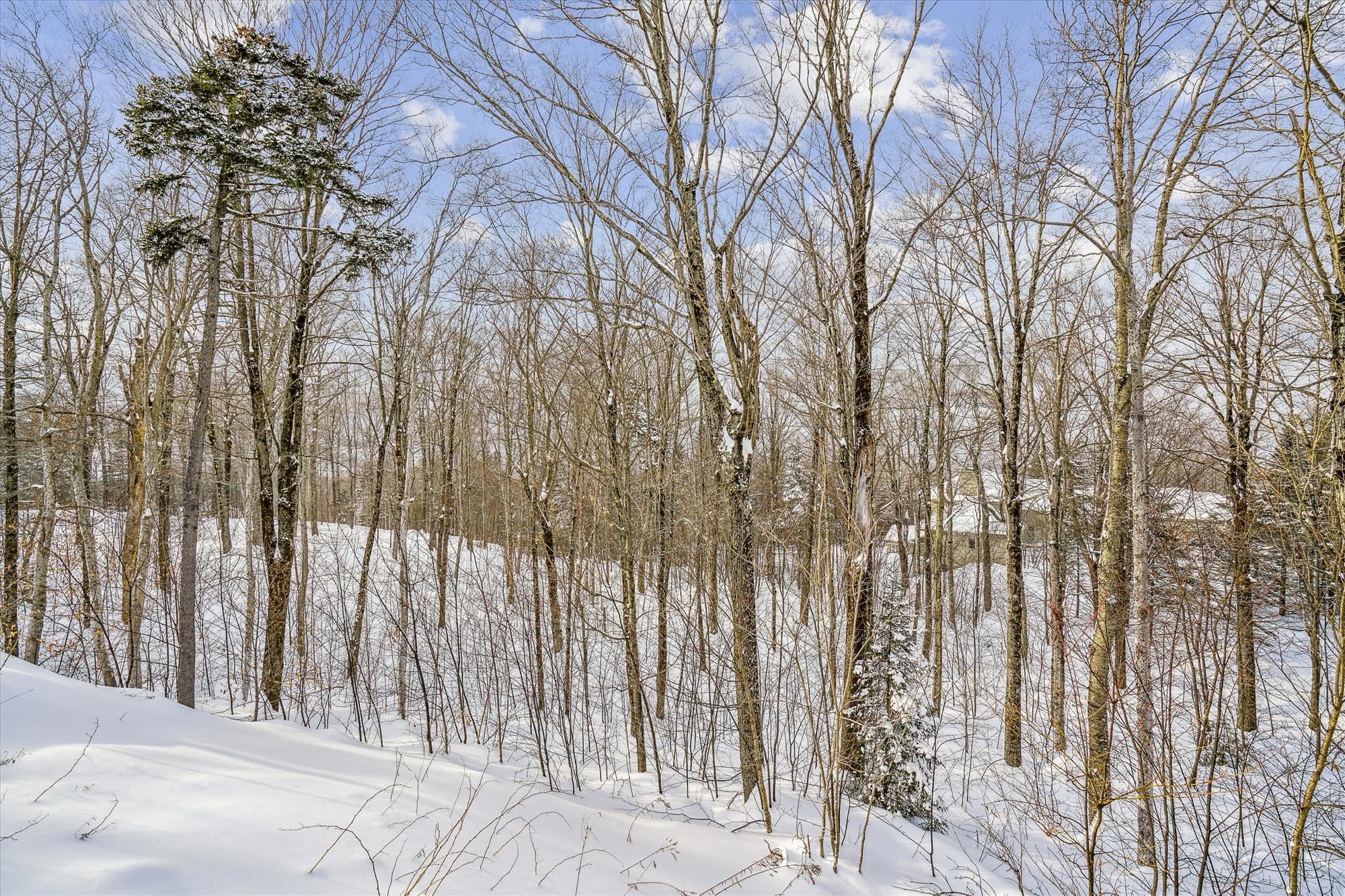 Take a walk in the surrounding area.