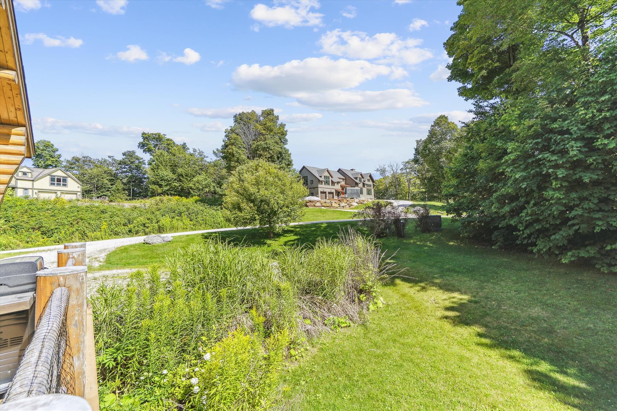 Trees and shrubs abound the driveway.