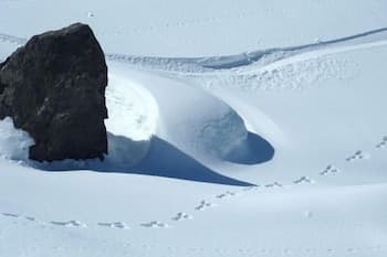 Ski Hill