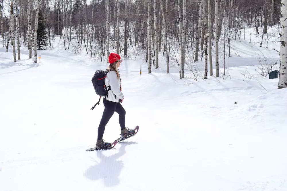 Snowshoeing
