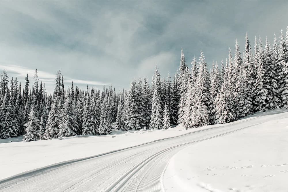 Point of interest