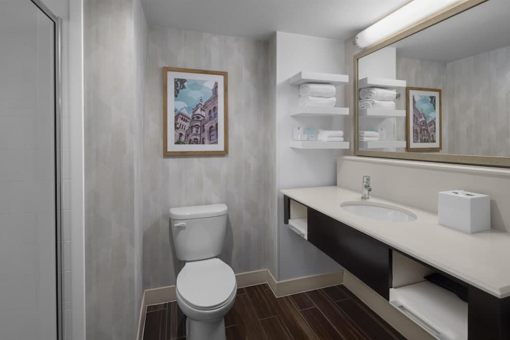 Bathroom shower