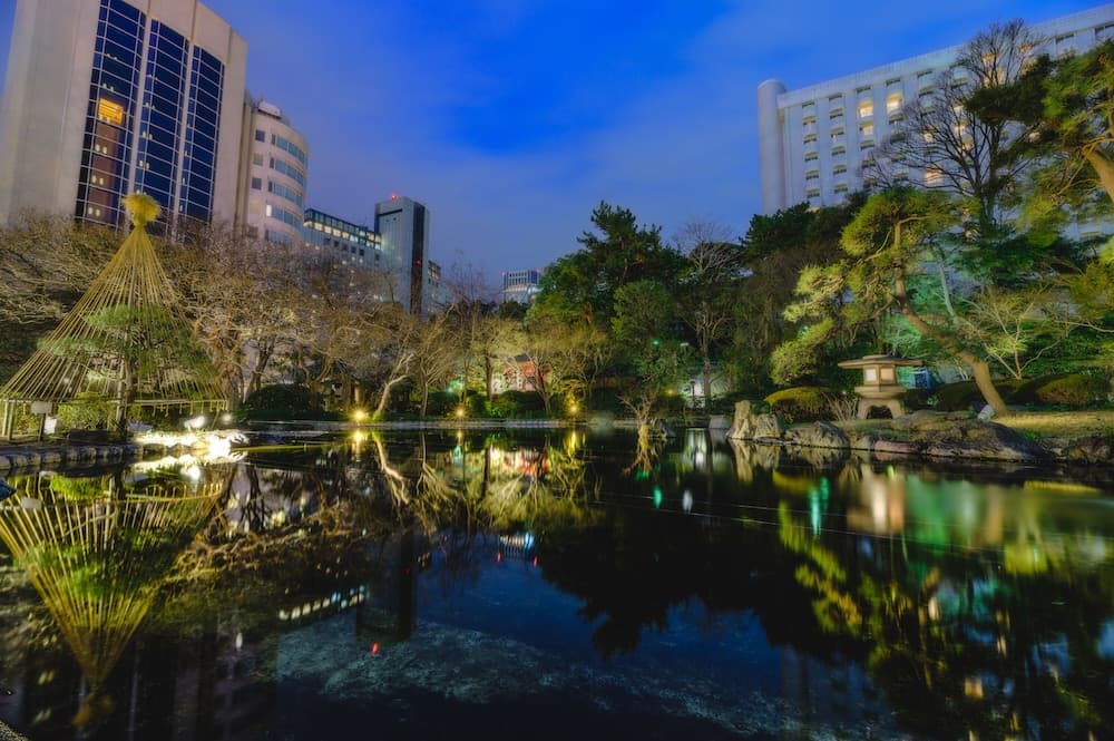 Japanese garden