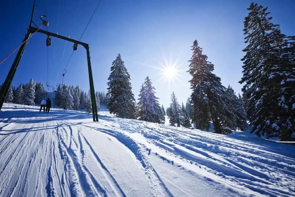 Snow and ski sports