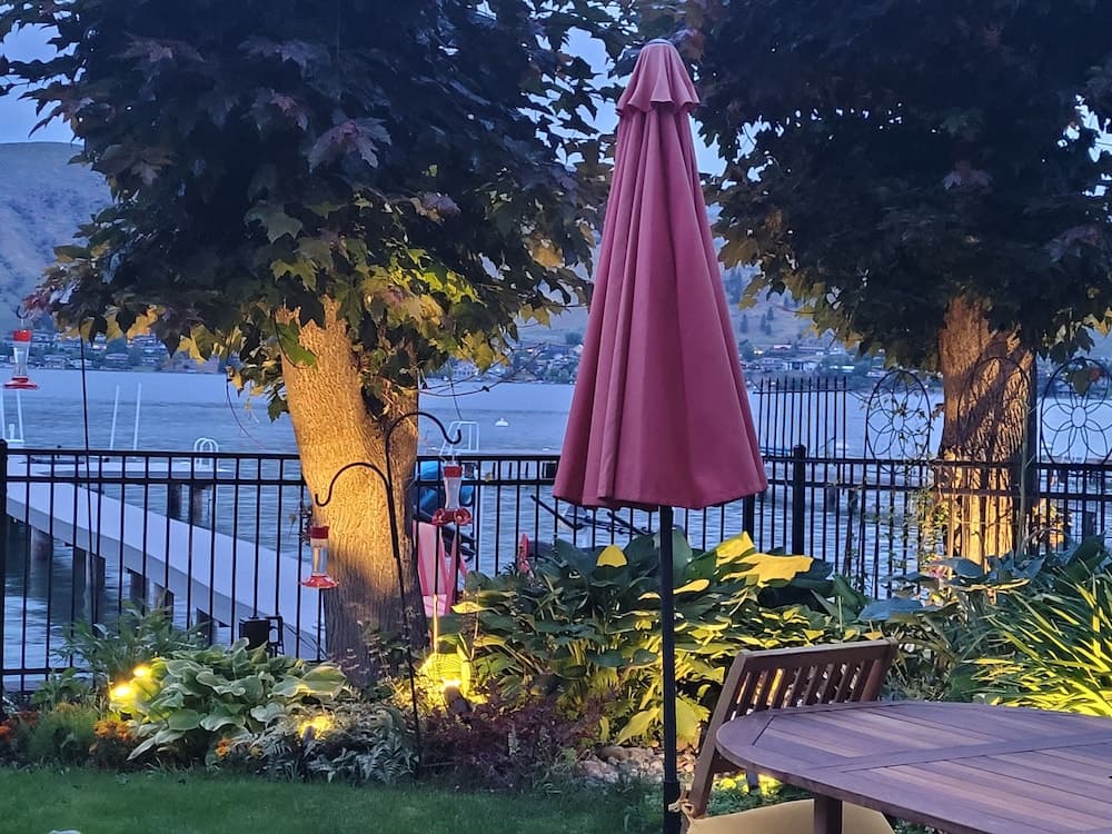 Garden view