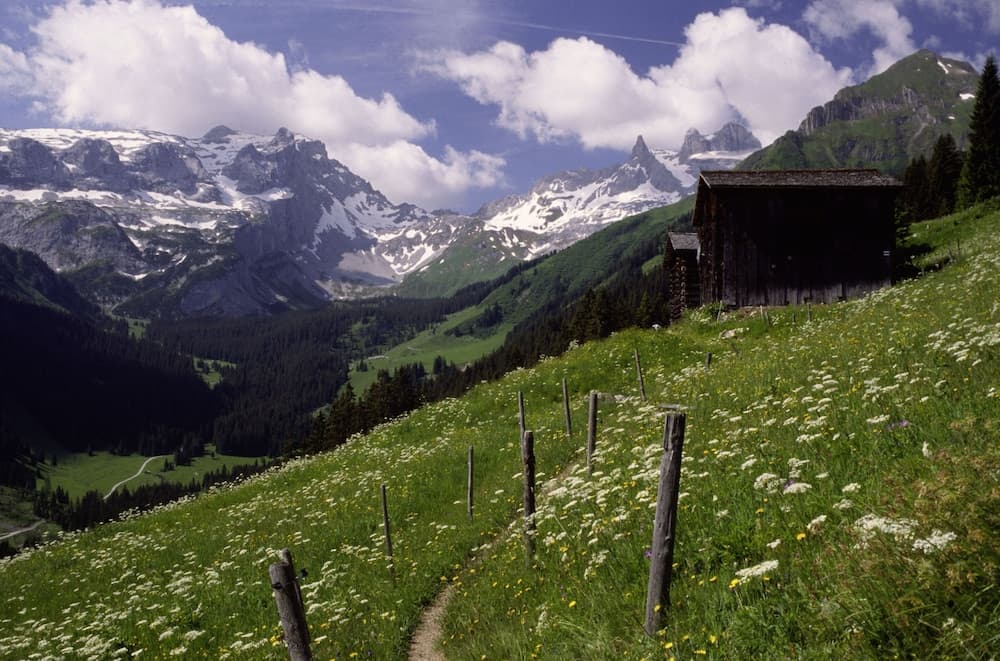 Land view from property