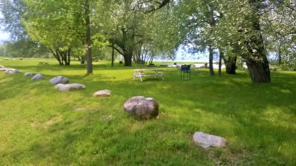 BBQ/picnic area