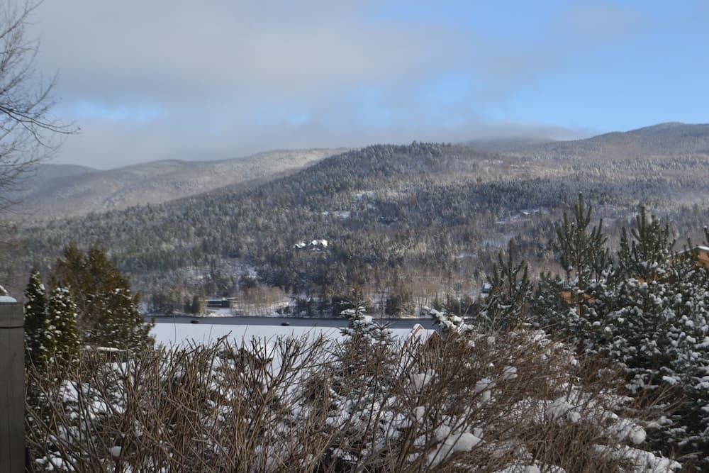 View from property