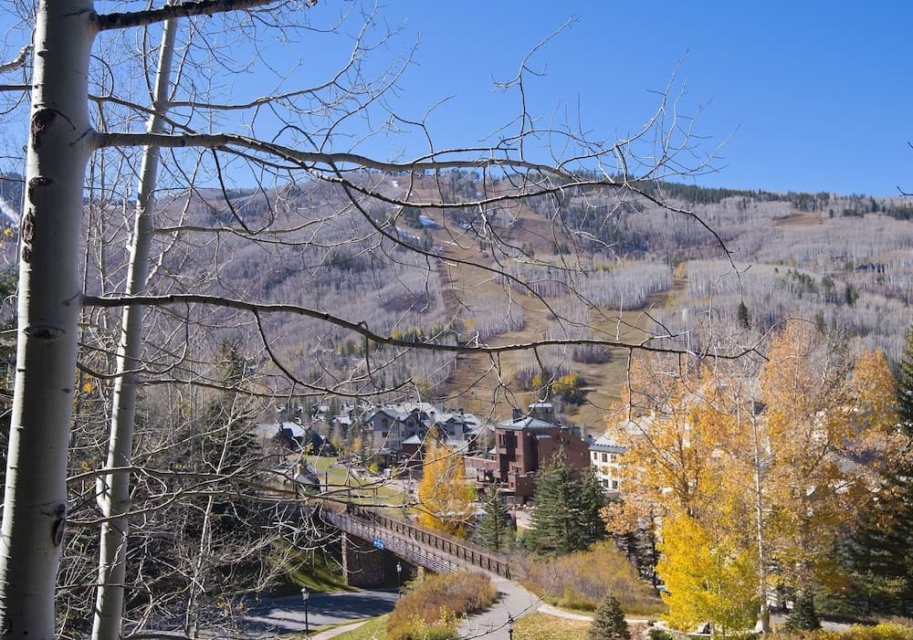 View from property