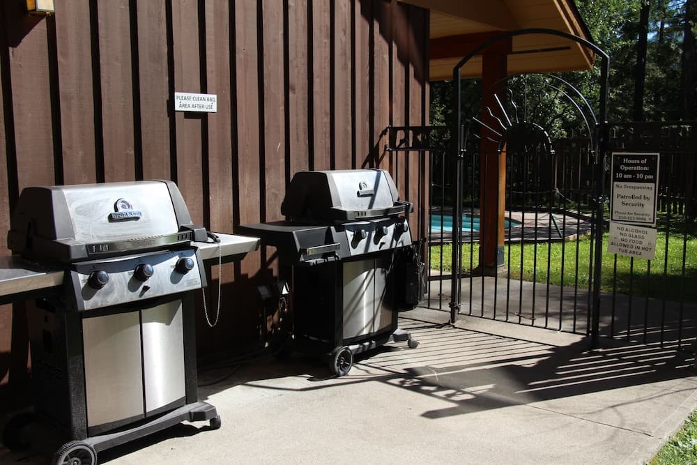 BBQ/picnic area