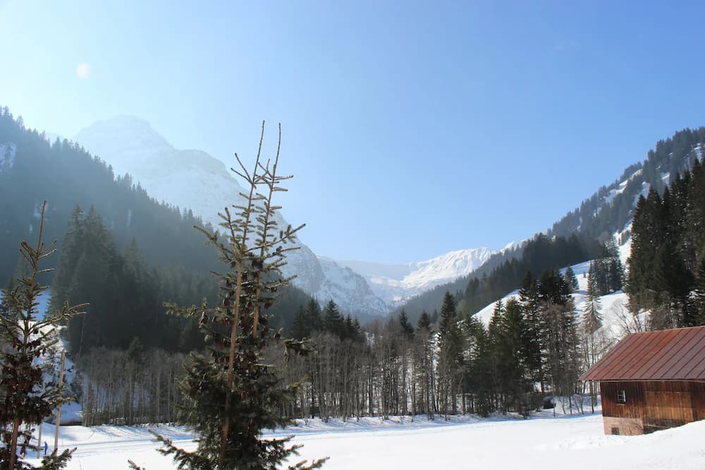 View from property