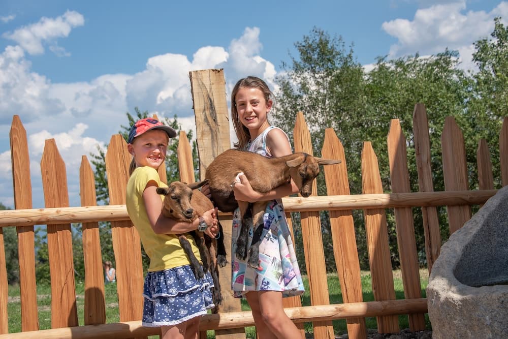 Children's activities
