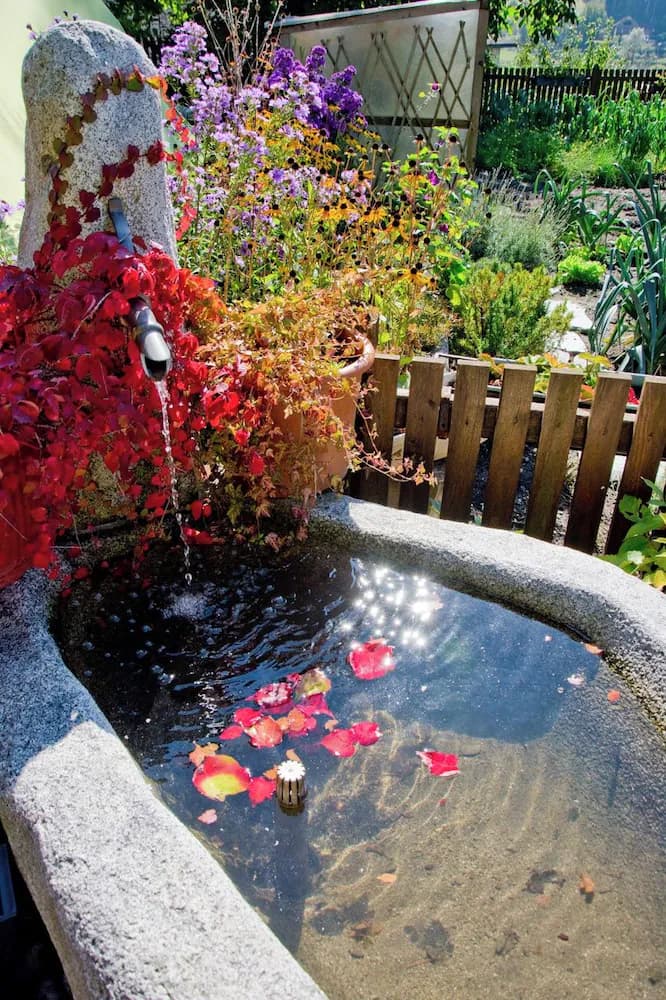 Fountain