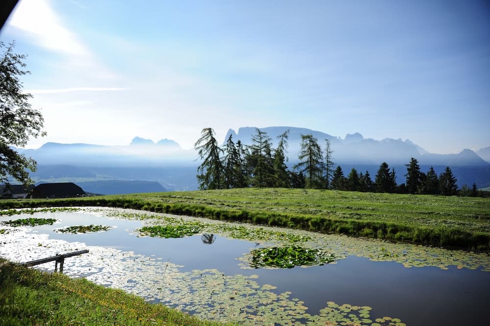 Hiking