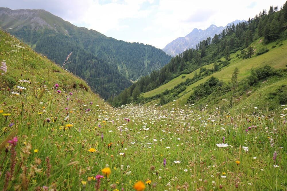 Hiking