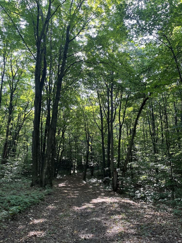 Hiking