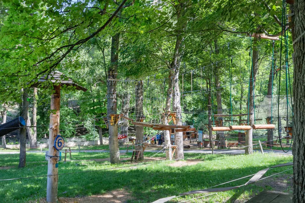 Children's activities