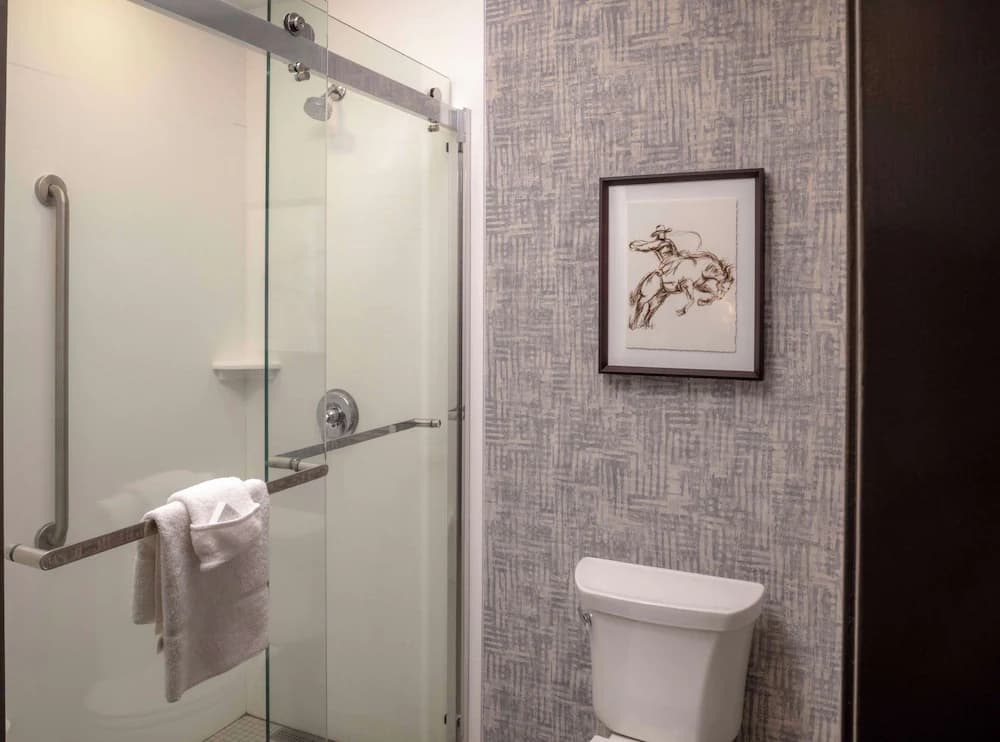 Bathroom shower