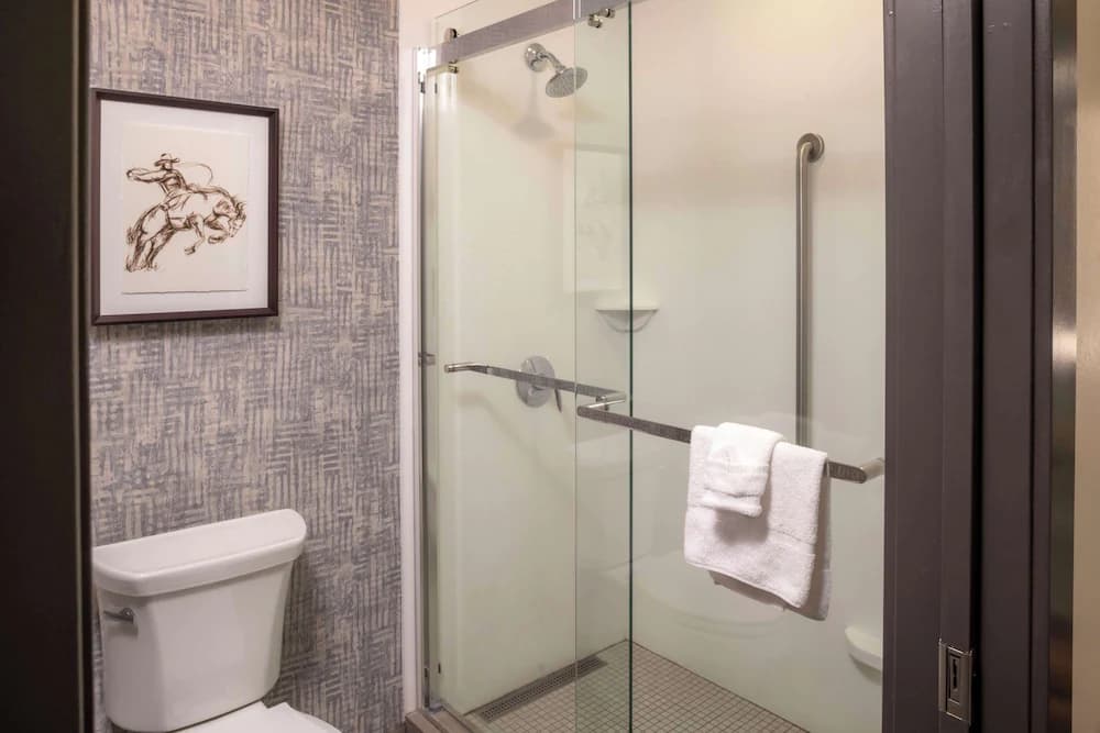 Bathroom shower