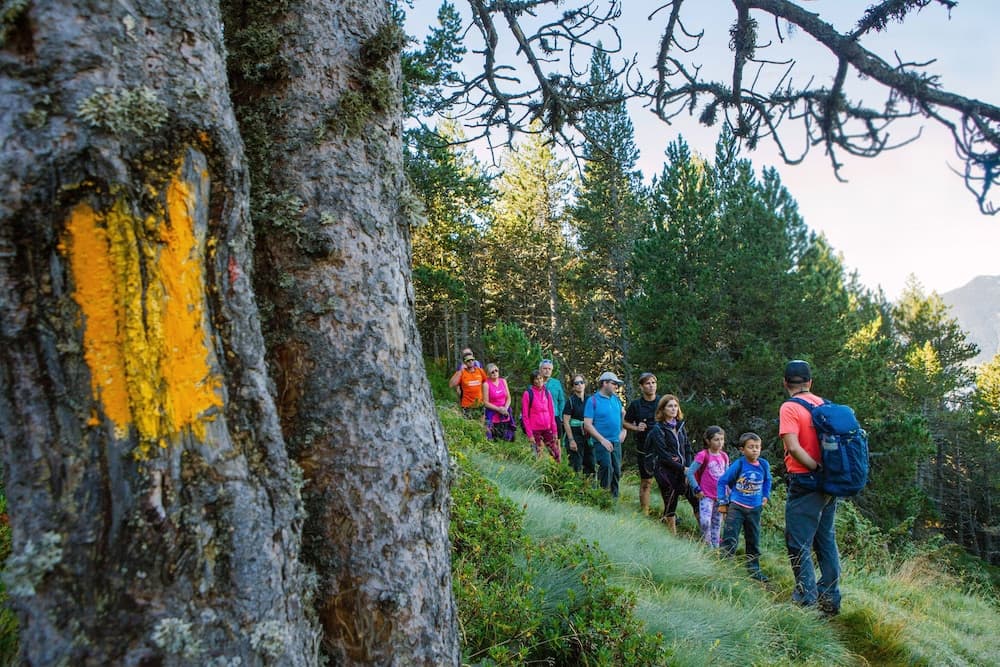 Hiking