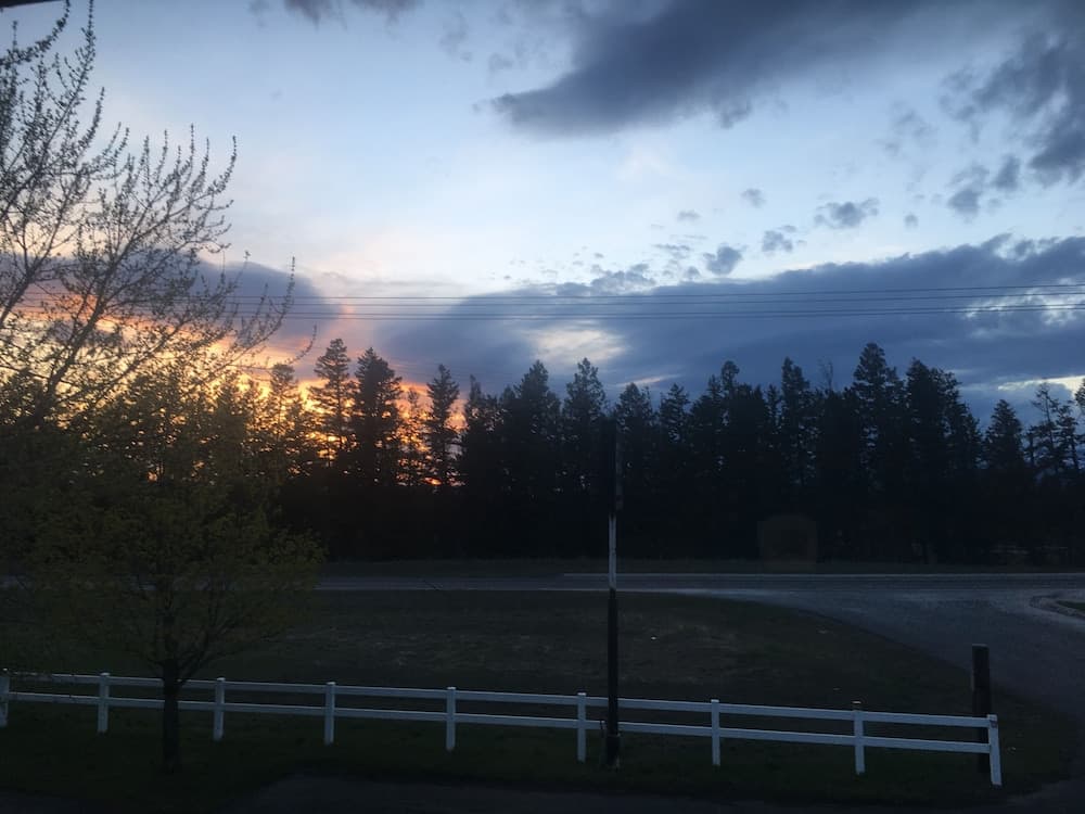 View from room