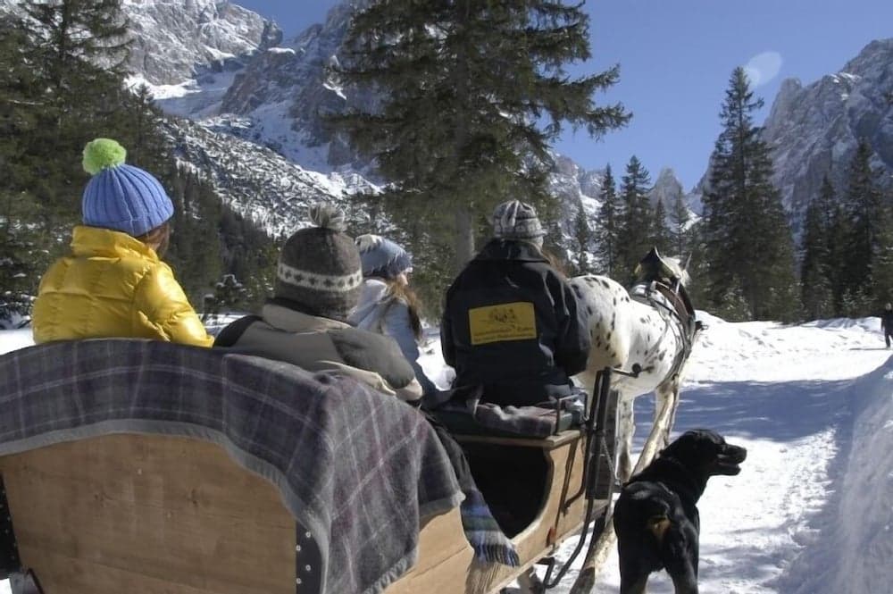 Sledding
