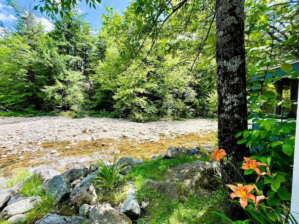 View from property