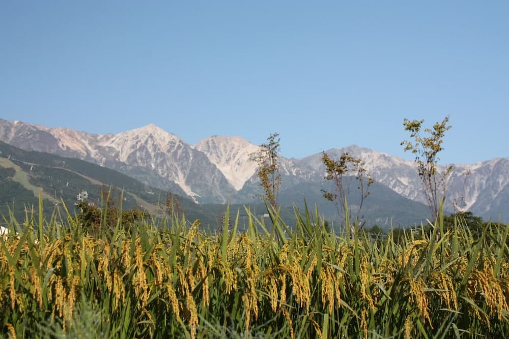 Mountain view