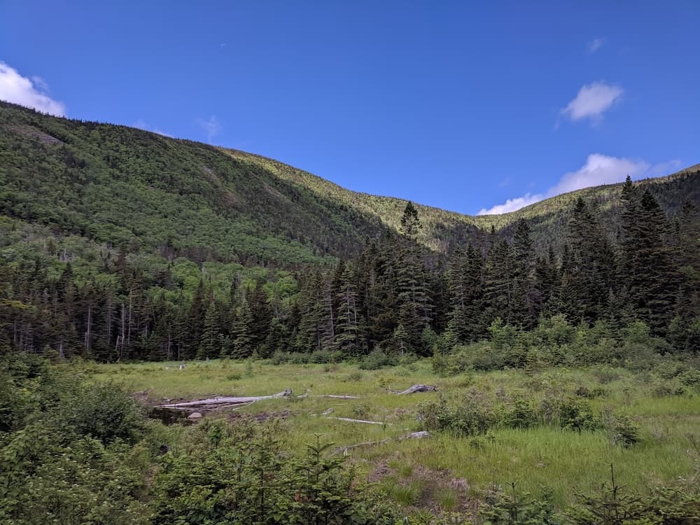 Hiking
