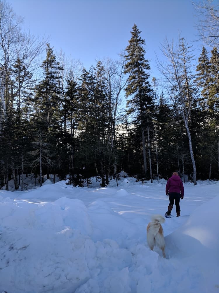 Snowshoeing