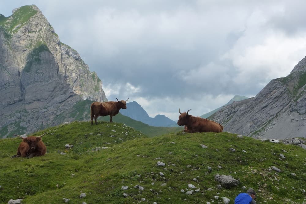 Mountain view