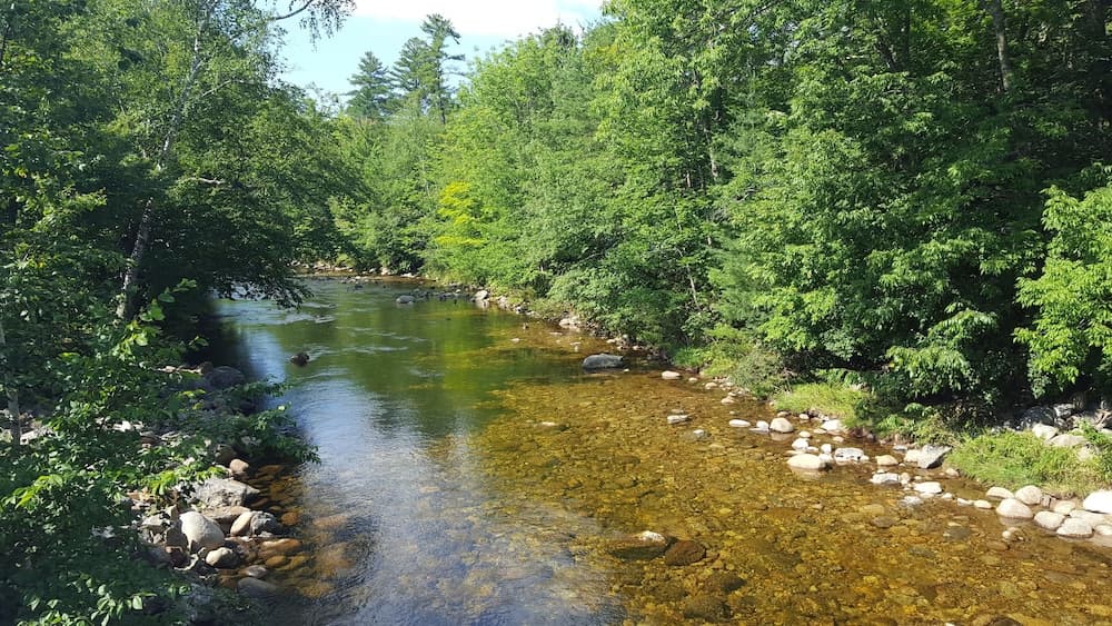 Water view