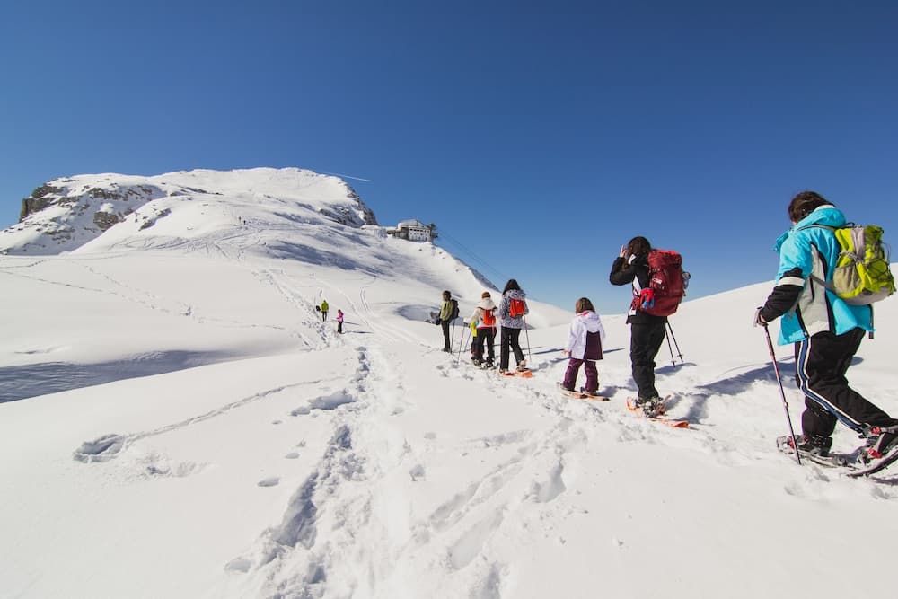 Skiing