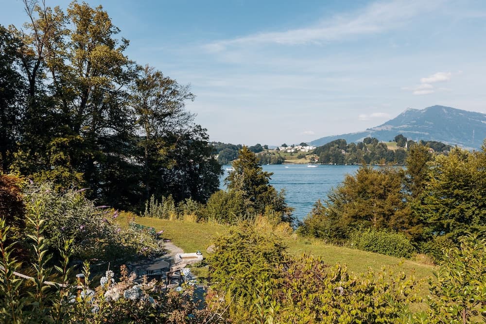 Lake view