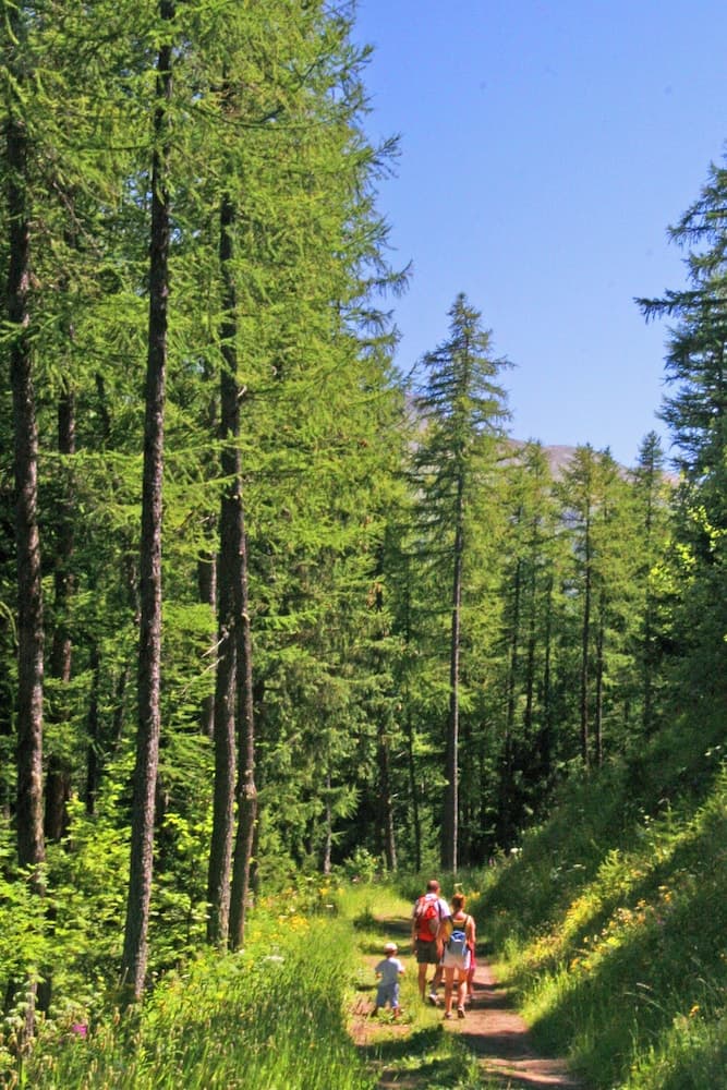 Hiking