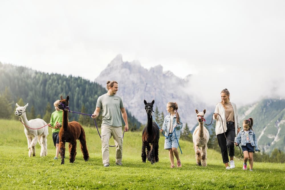 Children's activities