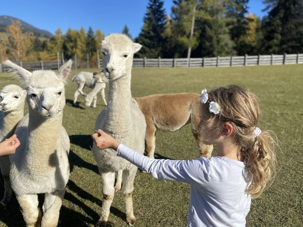 Children's activities
