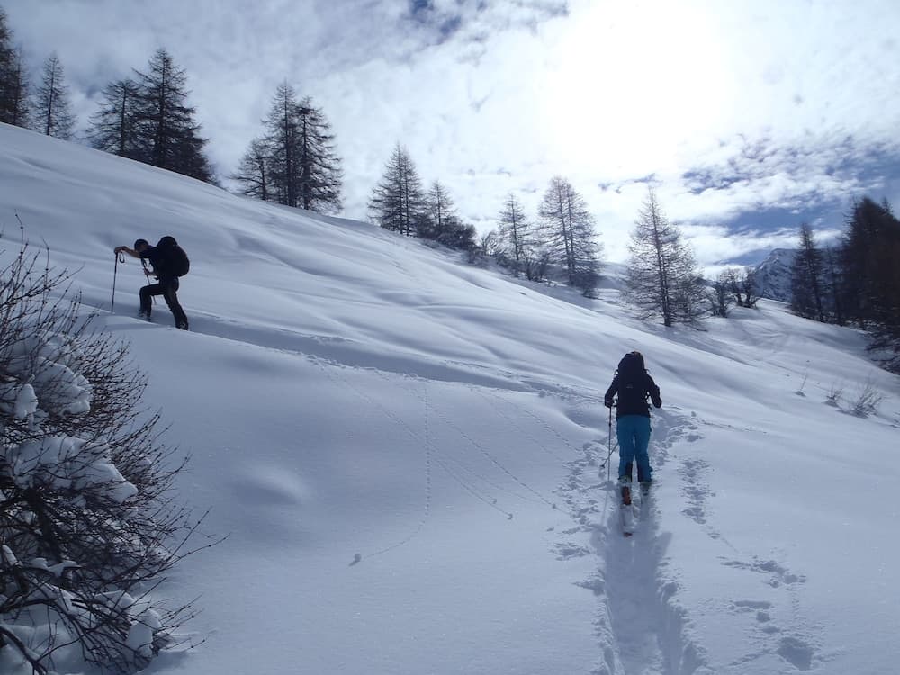 Snow and ski sports