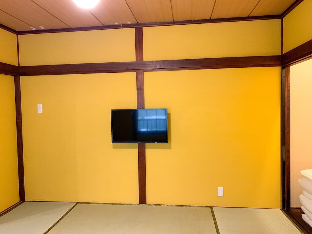 Television