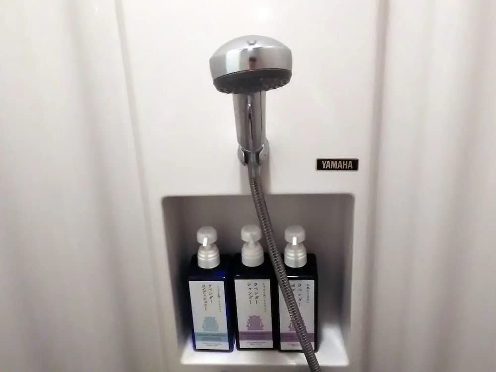 Bathroom shower