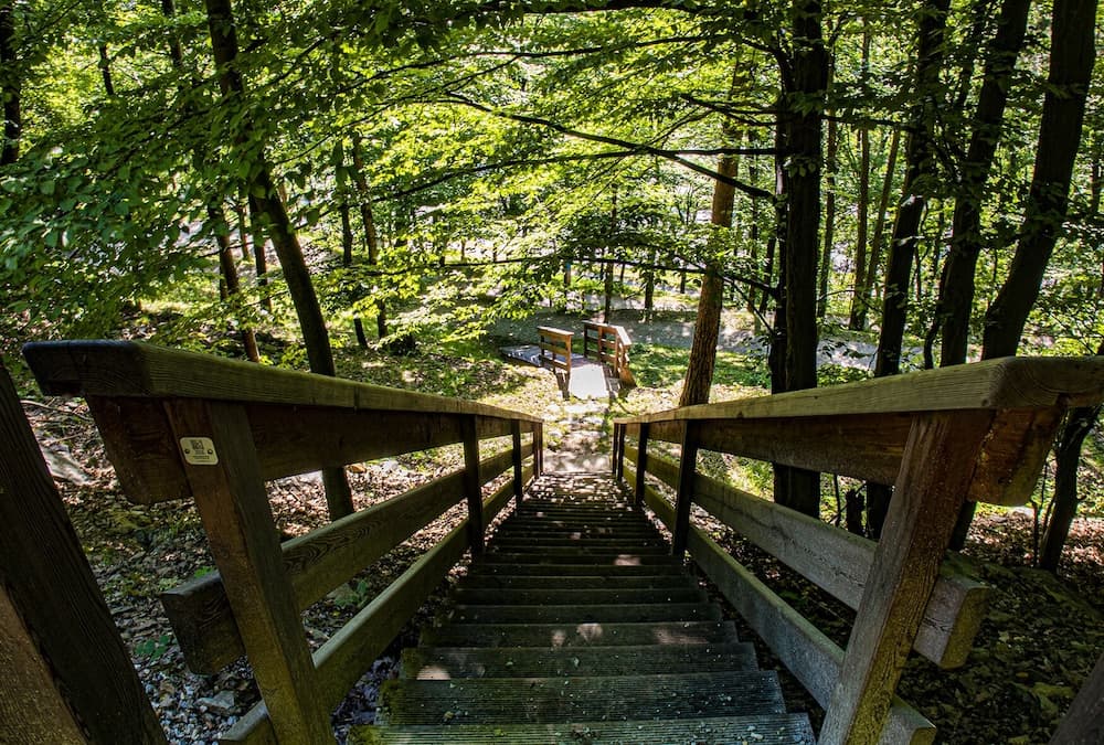 Hiking