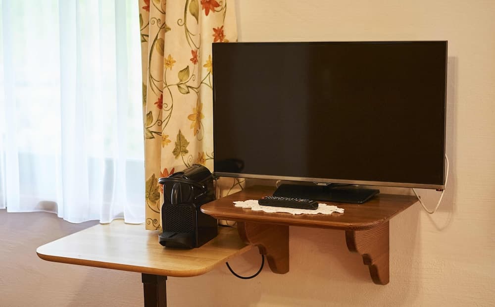 Television