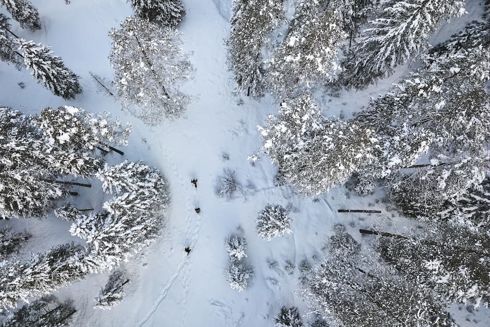 Snow and ski sports